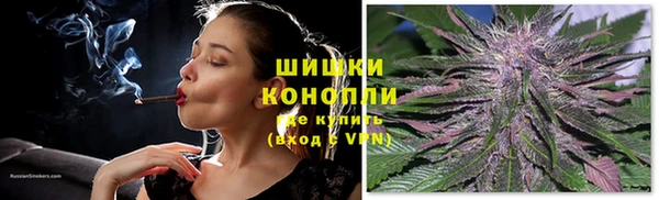 крисы Майский
