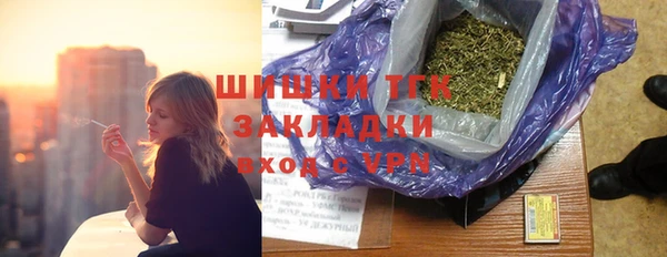 крисы Майский
