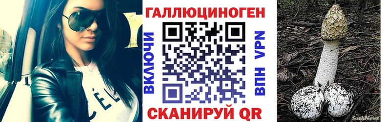ОМГ ОМГ ССЫЛКА  Дорогобуж  Галлюциногенные грибы MAGIC MUSHROOMS  наркота 